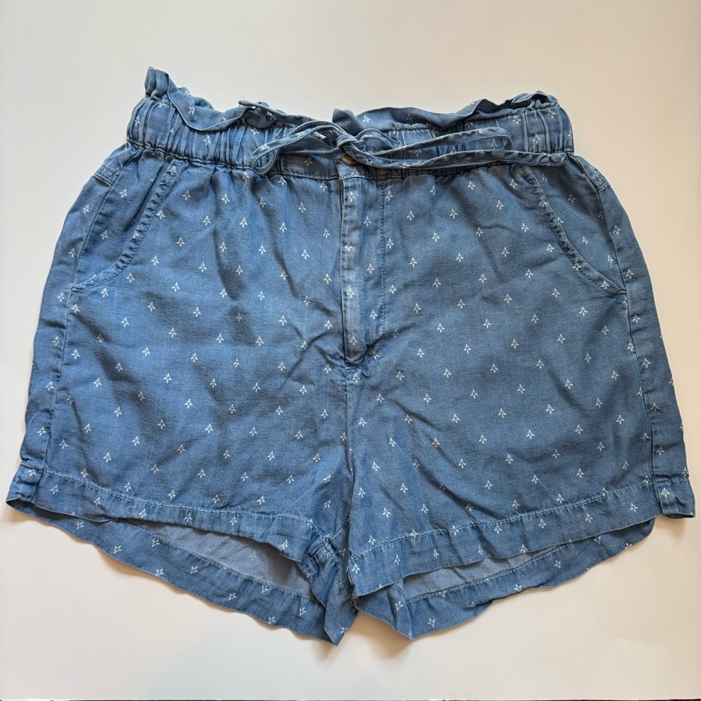 Thread & Supply Blue Shorts